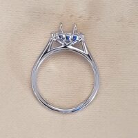 0.41ct Diamond Daisy Cluster Mount Platinum from Ace Jewellery, Leeds