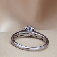 0.36ct Diamond Daisy Cluster Ring 9ct White Gold from Ace Jewellery, Leeds