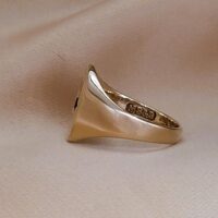 0.10 Garnett-Set Signet Ring 9ct Yellow Gold from Ace Jewellery, Leeds